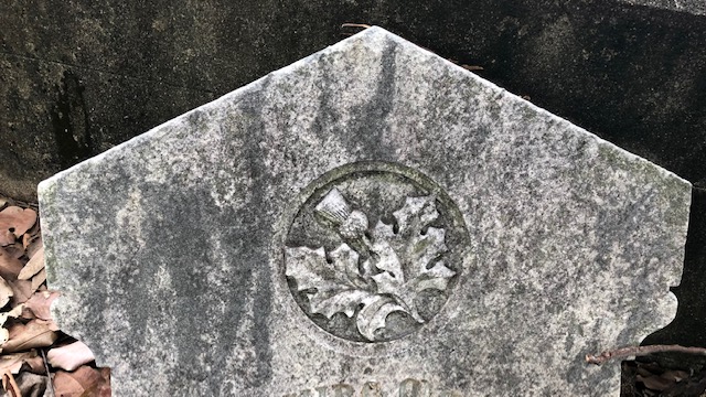 Thistle symbol carved on a headstone