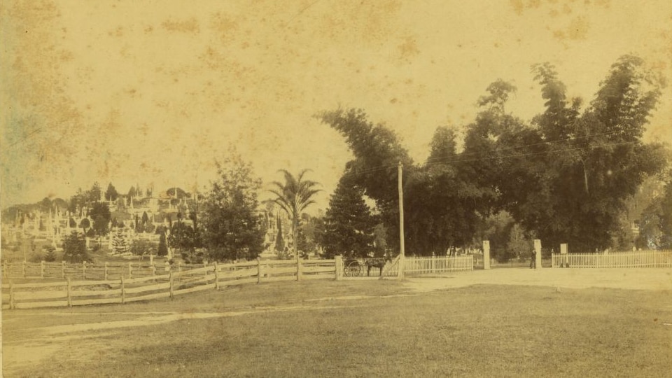 Toowong Cemetery, Brisbane, ca. 1890